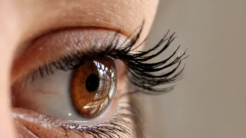 Dia Europeu do Melanoma